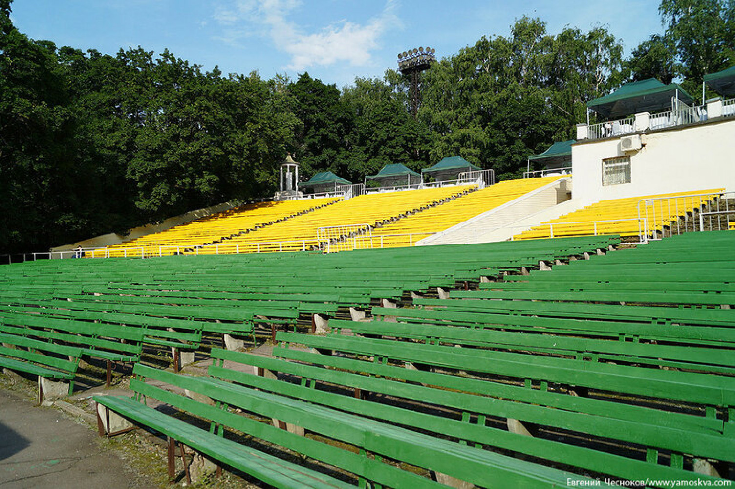 Фото зеленого театра в парке горького